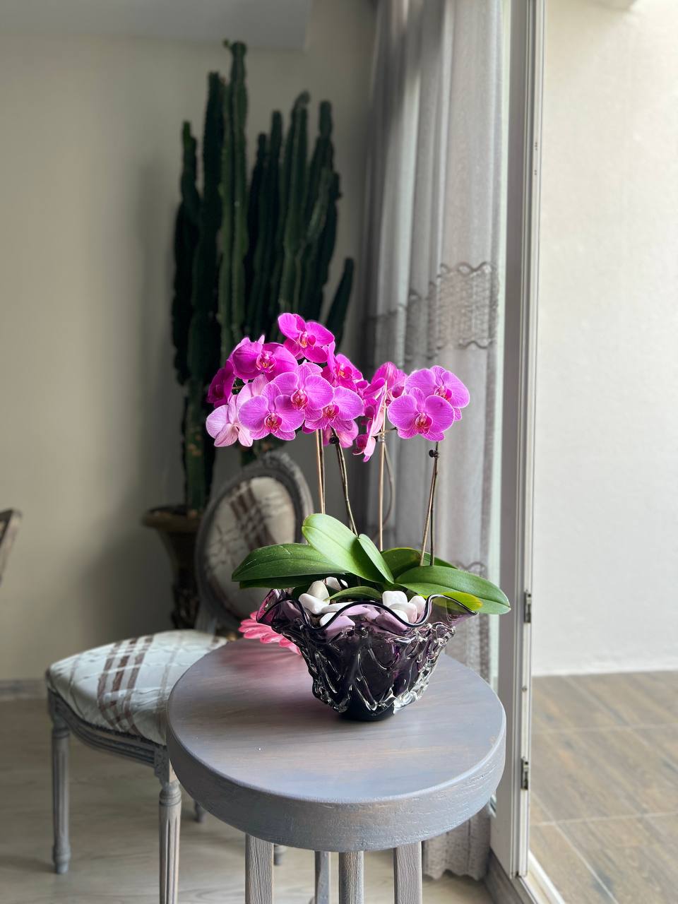 IMG 20230726 130943 089